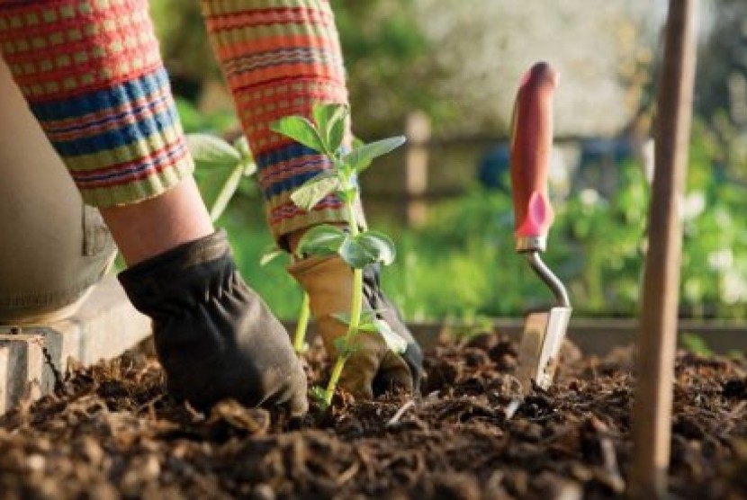 Detail Gambar Orang Sedang Berkebun Nomer 54