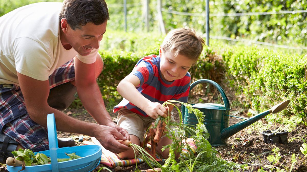 Detail Gambar Orang Sedang Berkebun Nomer 8