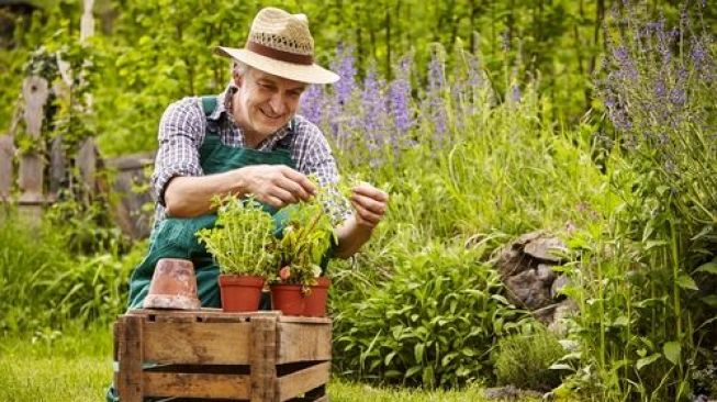 Detail Gambar Orang Sedang Berkebun Nomer 10