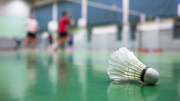 Detail Gambar Orang Sedang Bermain Badminton Nomer 43