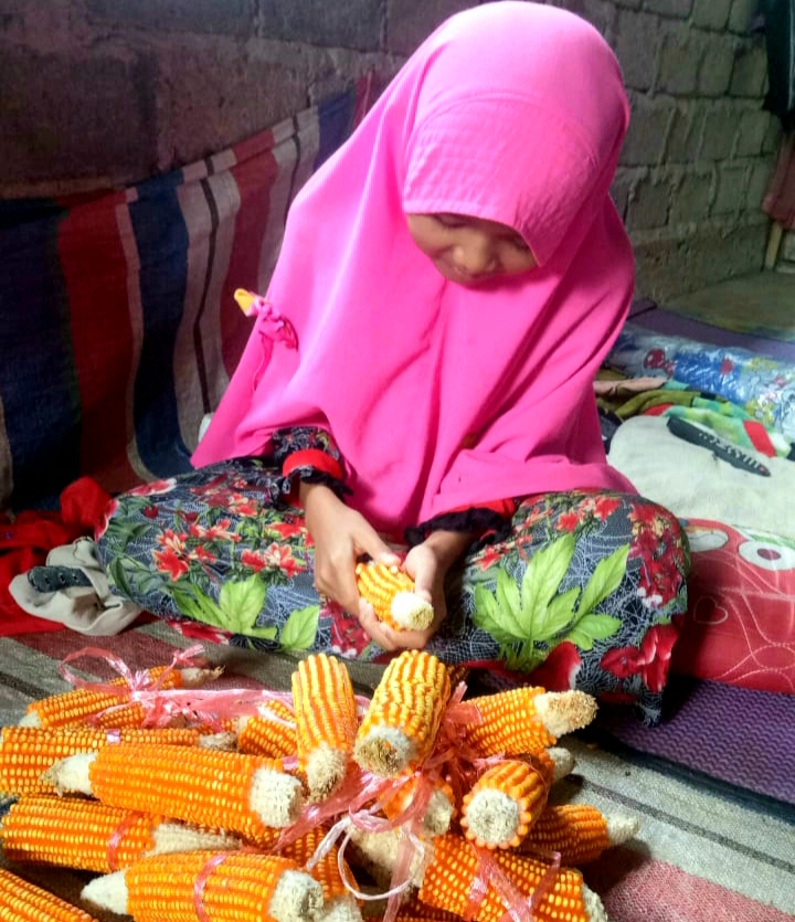 Detail Gambar Orang Sedang Memipil Jagung Nomer 43