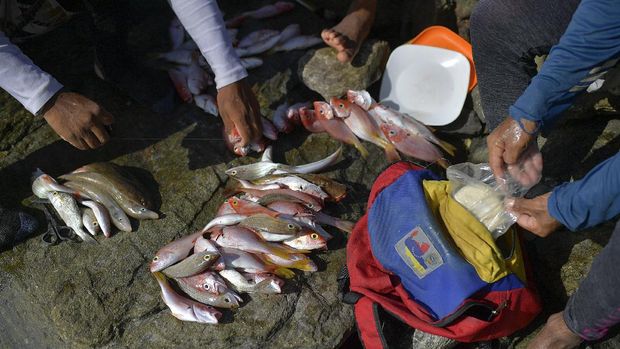 Detail Gambar Orang Sedang Menjaring Ikan Dilaut Nomer 36