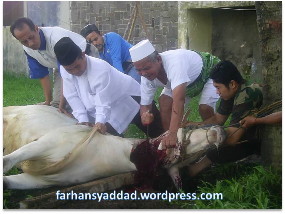 Detail Gambar Orang Sedang Qurban Nomer 14