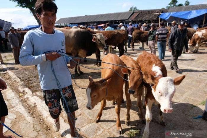 Detail Gambar Orang Sedang Qurban Nomer 27