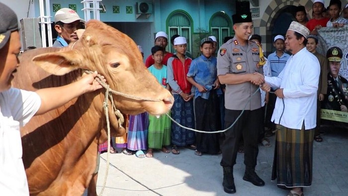 Detail Gambar Orang Sedang Qurban Nomer 28