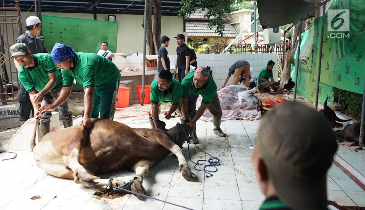 Detail Gambar Orang Sedang Qurban Nomer 5