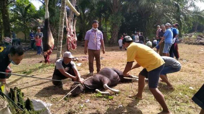 Detail Gambar Orang Sedang Qurban Nomer 40