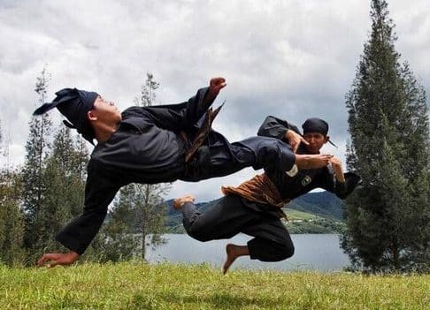 Detail Gambar Orang Silat Nomer 28