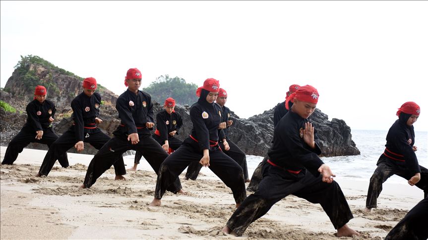 Detail Gambar Orang Silat Nomer 48