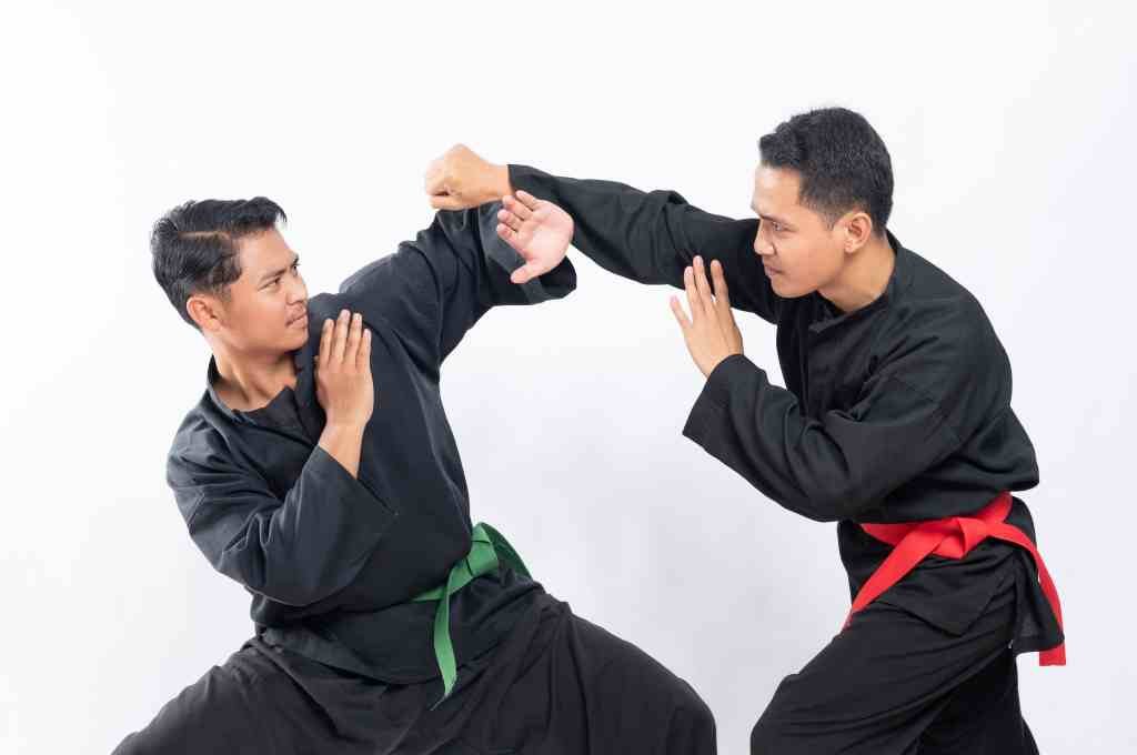 Detail Gambar Orang Silat Nomer 50