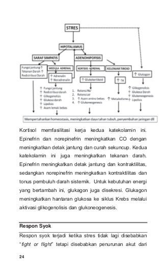 Detail Gambar Orang Syok Hipovolemik Gift Nomer 15