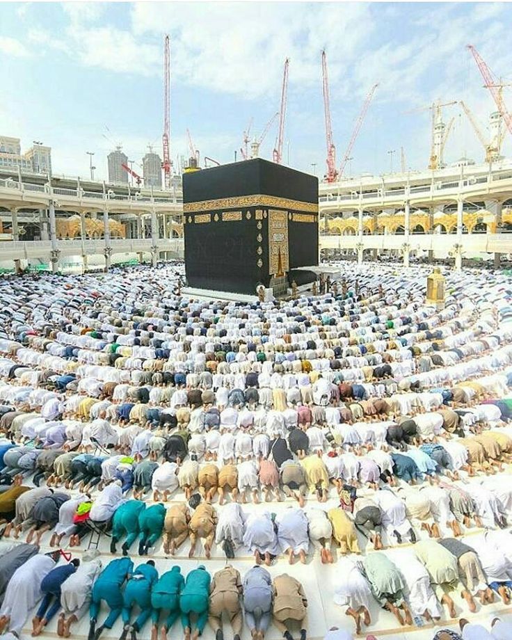 Detail Gambar Orang Tawaf Nomer 48