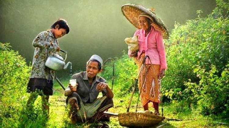 Detail Gambar Orang Tua Bekerja Nomer 7