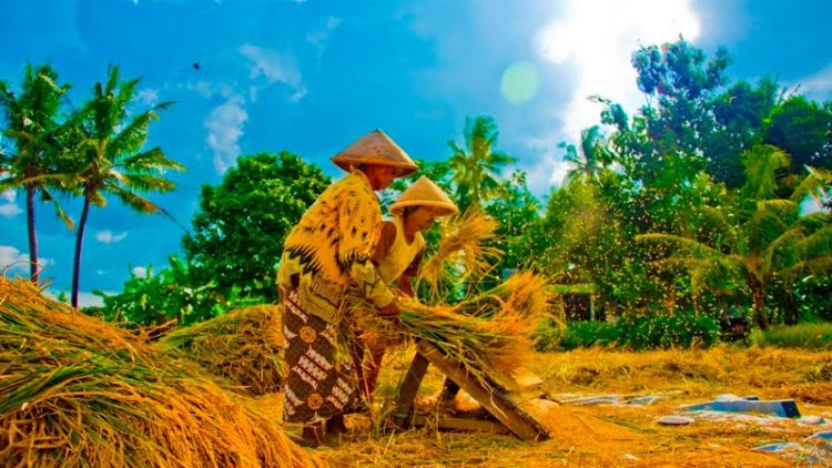 Detail Gambar Orang Tua Bekerja Nomer 9