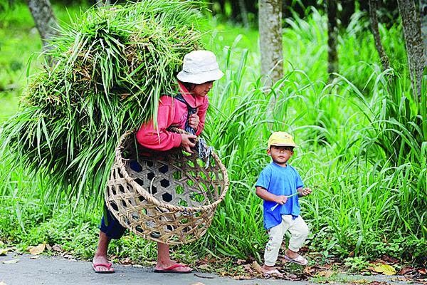 Detail Gambar Orang Tua Bekerja Nomer 10