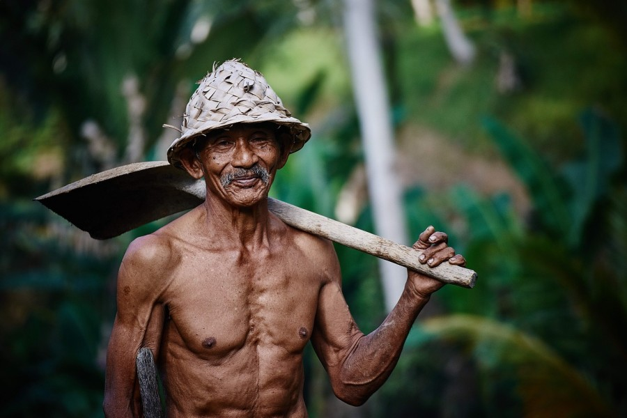 Detail Gambar Orang Tua Bekerja Nomer 33