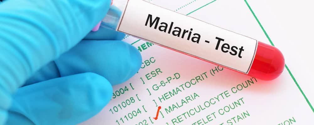 Detail Gambar Orang Yang Terkena Malaria Nomer 15