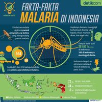 Detail Gambar Orang Yang Terkena Malaria Nomer 19