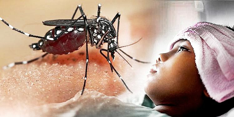Detail Gambar Orang Yang Terkena Malaria Nomer 9