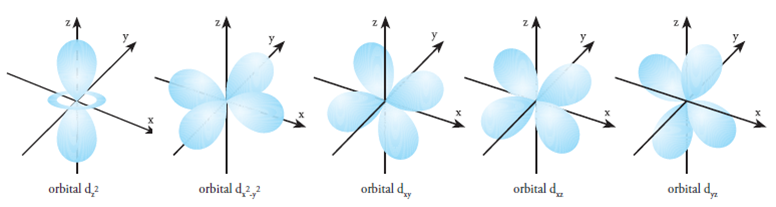 Detail Gambar Orbital D Nomer 14