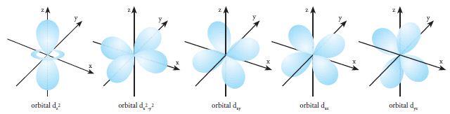 Detail Gambar Orbital D Nomer 26