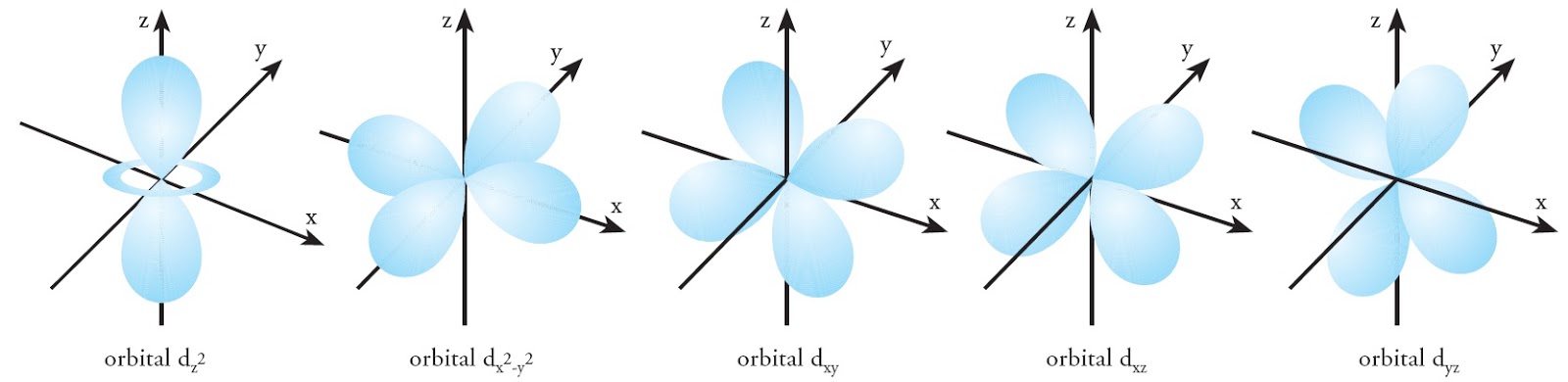 Detail Gambar Orbital D Nomer 9