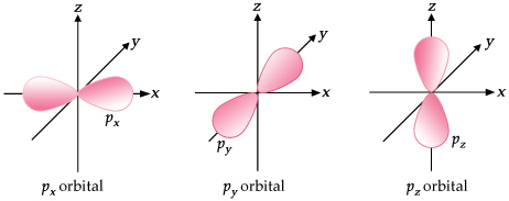 Detail Gambar Orbital P Nomer 20