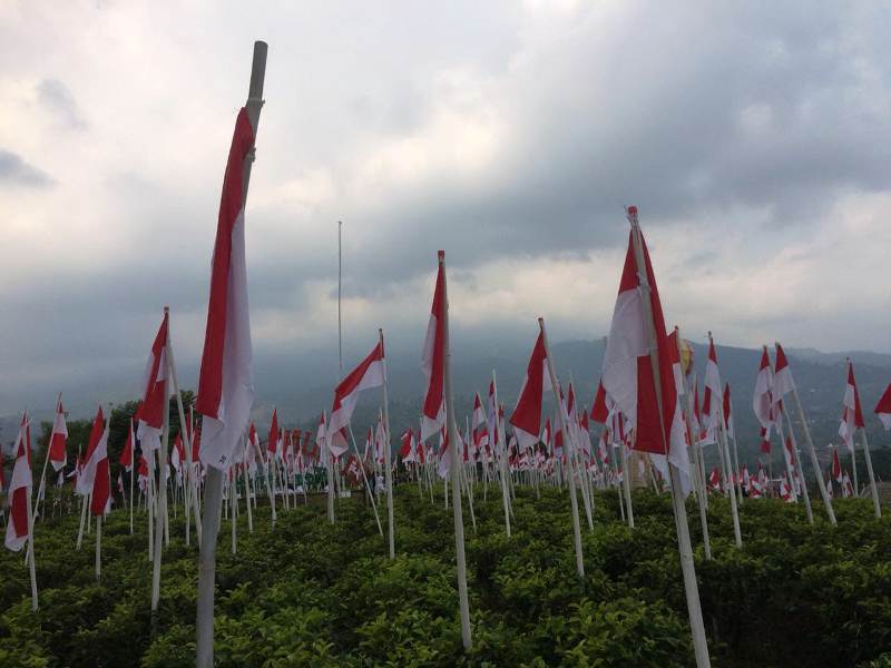 Detail Gambar Org Berdiri Diatas Gunung Memegang Bendera Merah Putih Nomer 23