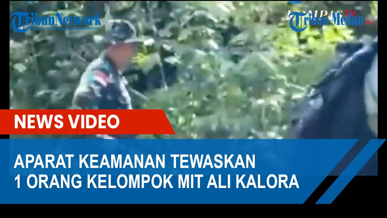 Detail Gambar Org Kelompok Nomer 45