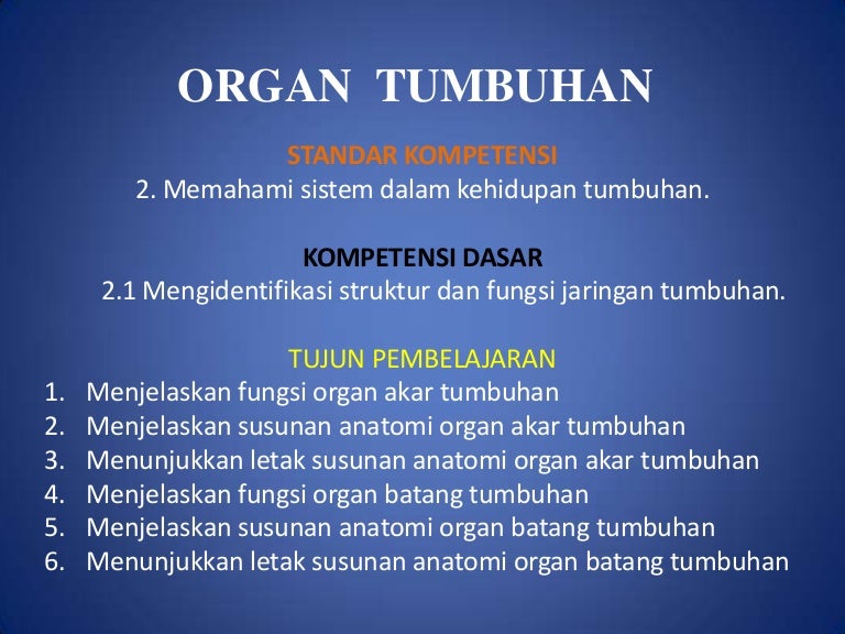 Detail Gambar Organ Batang Nomer 20