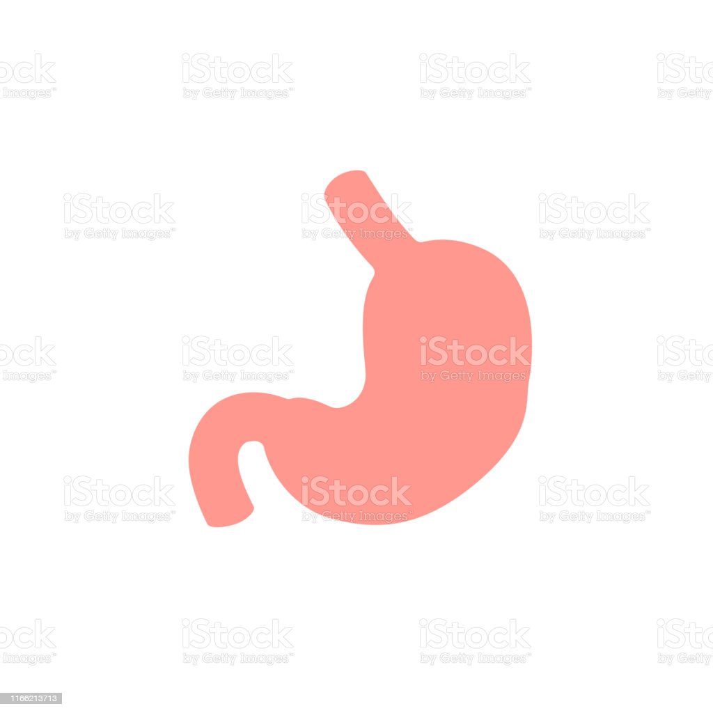 Detail Gambar Organ Dalam Perut Nomer 29