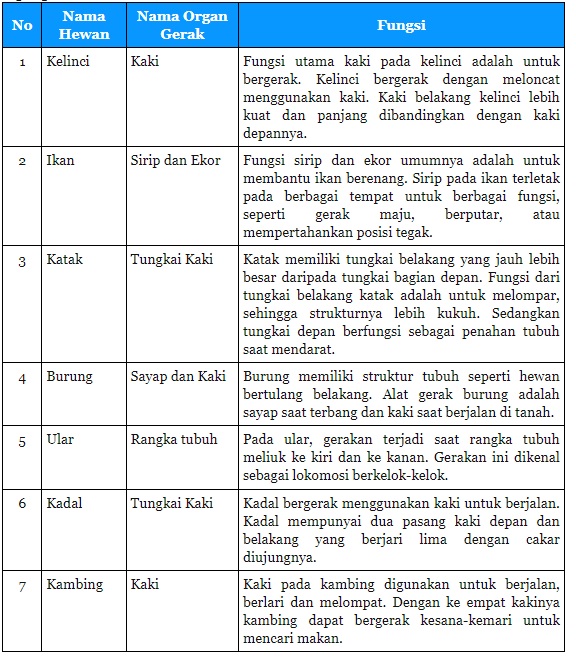 Detail Gambar Organ Gerak Burung Nomer 14