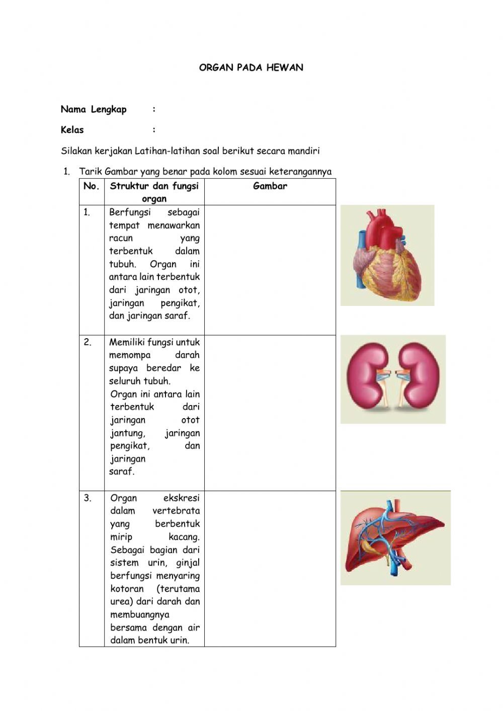 Detail Gambar Organ Hewan Nomer 2