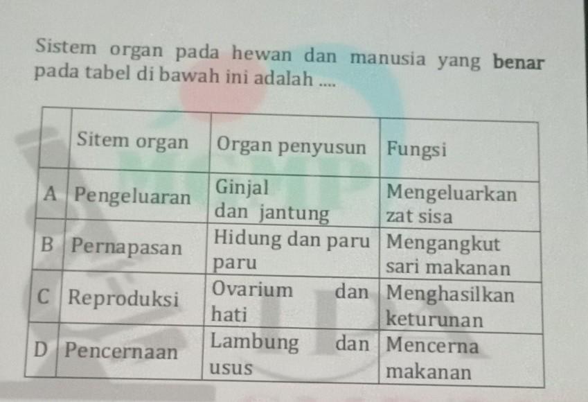 Detail Gambar Organ Hewan Nomer 53