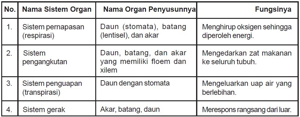 Detail Gambar Organ Hewan Dan Tumbuhan Nomer 36