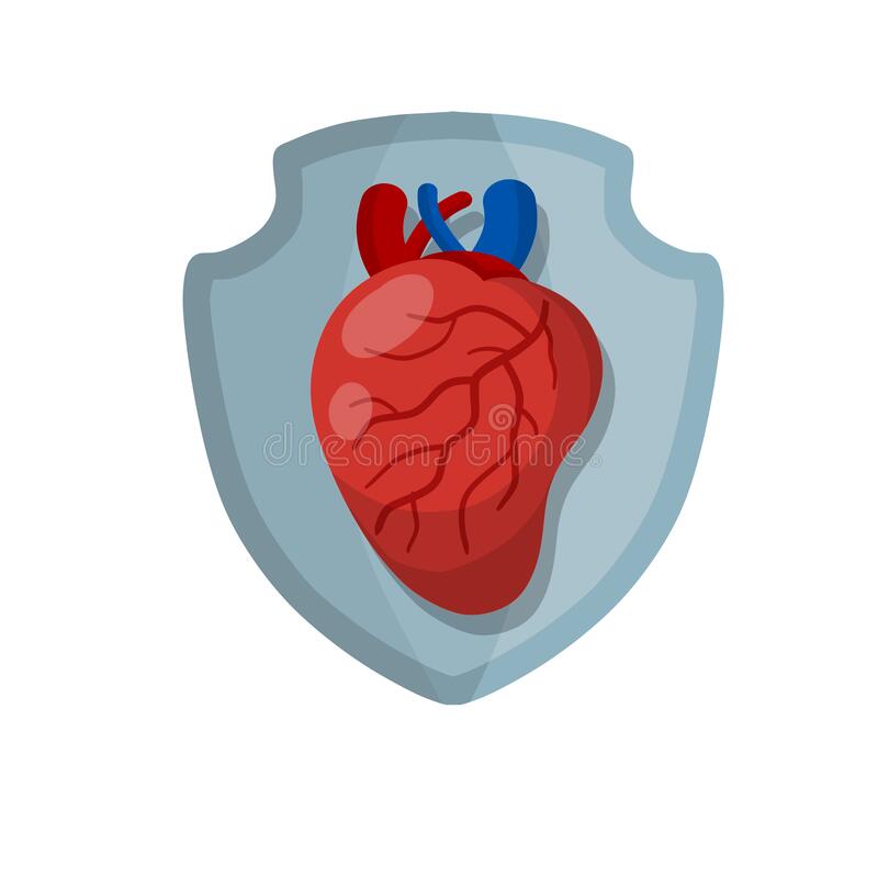 Detail Gambar Organ Jantung Kartun Nomer 37