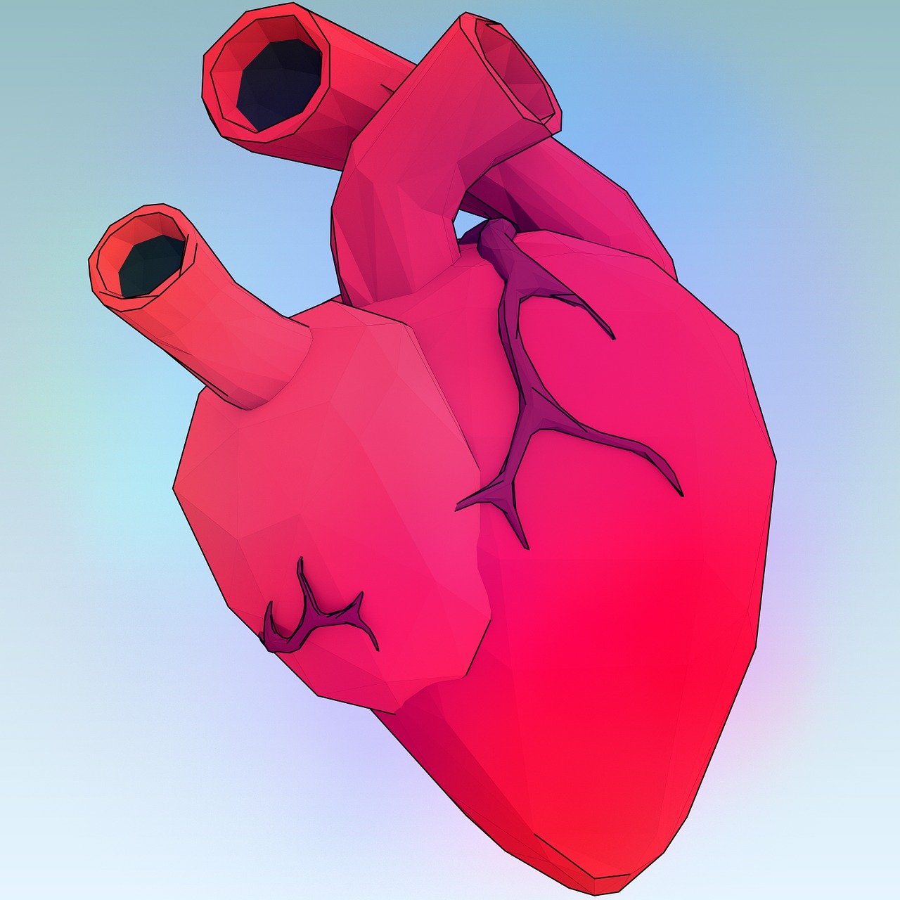 Detail Gambar Organ Jantung Kartun Nomer 39