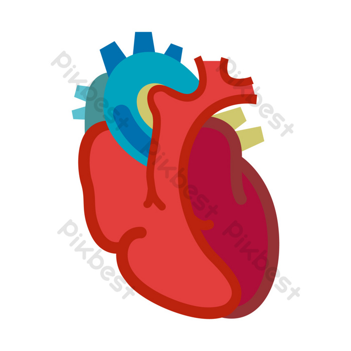 Detail Gambar Organ Jantung Kartun Nomer 49