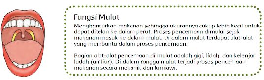 Detail Gambar Organ Mulut Nomer 35