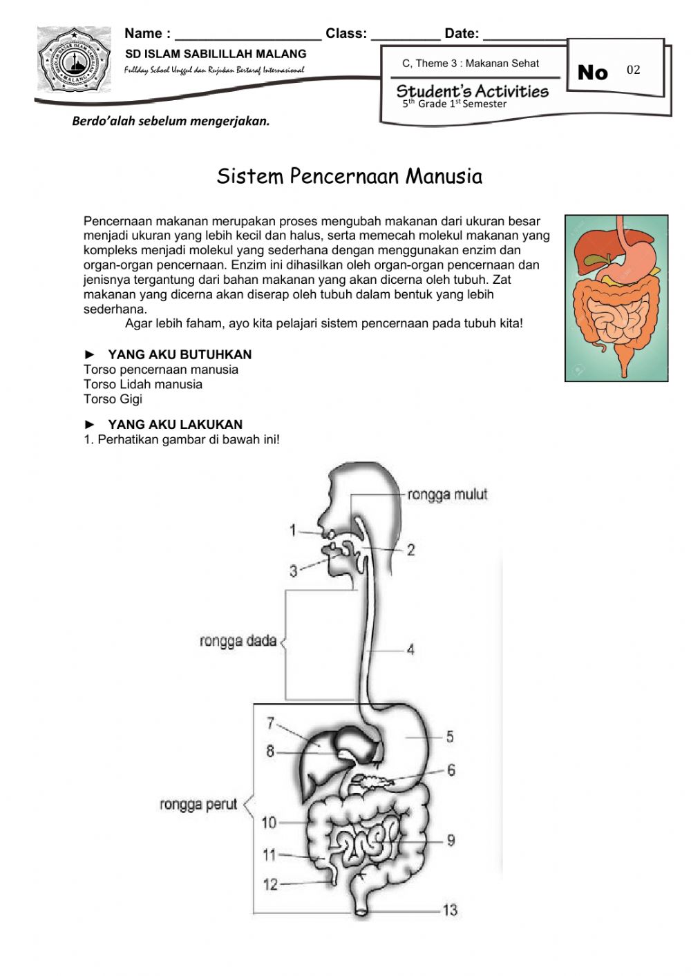 Detail Gambar Organ Pencernaan Makanan Nomer 35