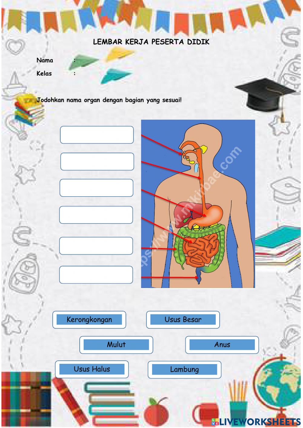 Detail Gambar Organ Pencernaan Makanan Nomer 44