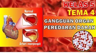 Detail Gambar Organ Peredaran Darah Nomer 45