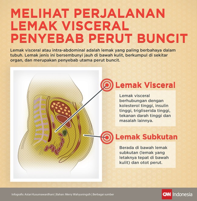 Detail Gambar Organ Perut Nomer 49