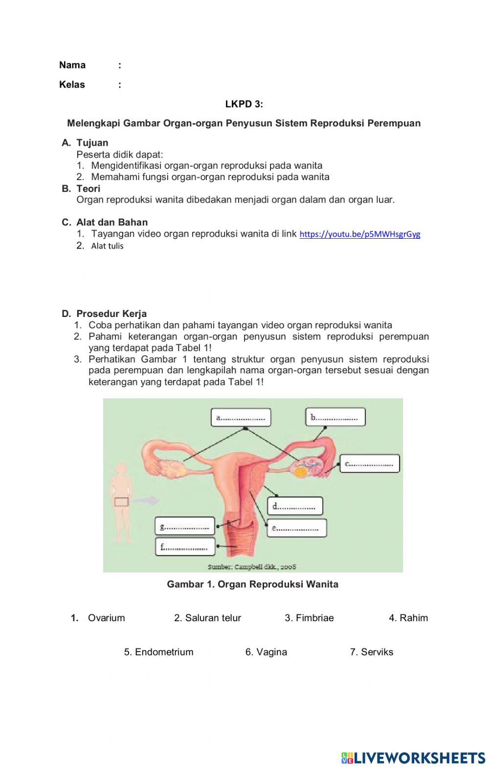 Detail Gambar Organ Reproduksi Pada Perempuan Nomer 21