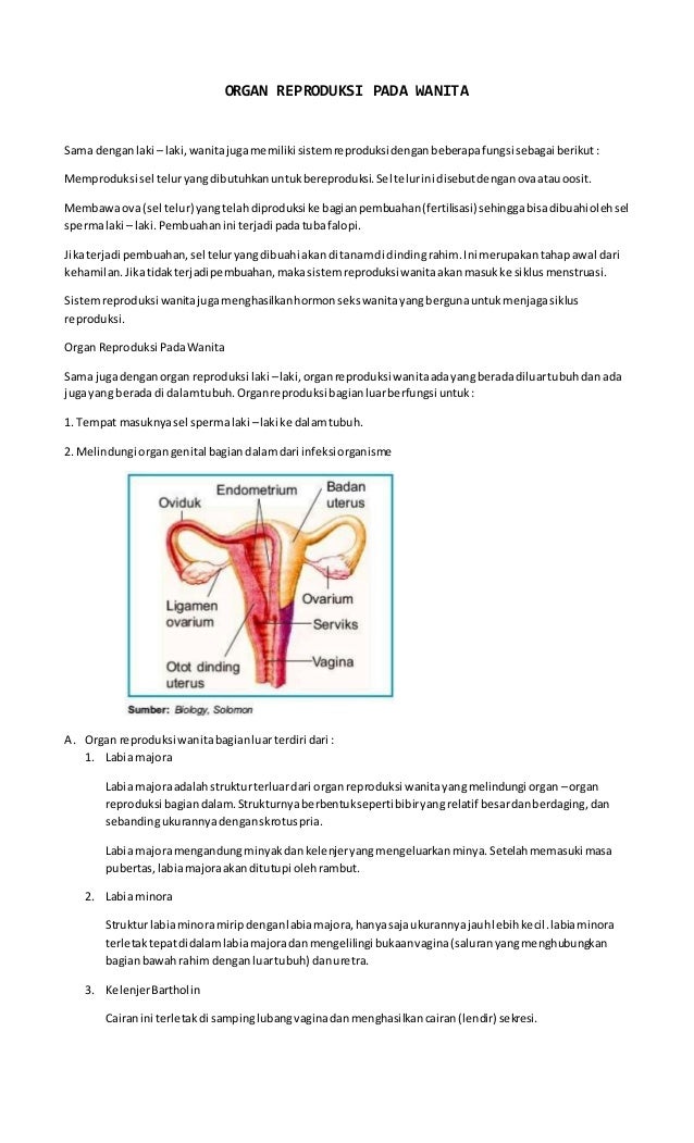 Detail Gambar Organ Reproduksi Pada Wanita Nomer 34