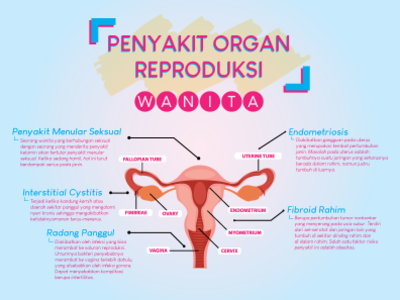 Detail Gambar Organ Reproduksi Wanita Nomer 39