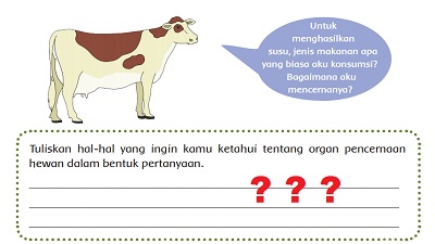 Detail Gambar Organ Sapi Nomer 27