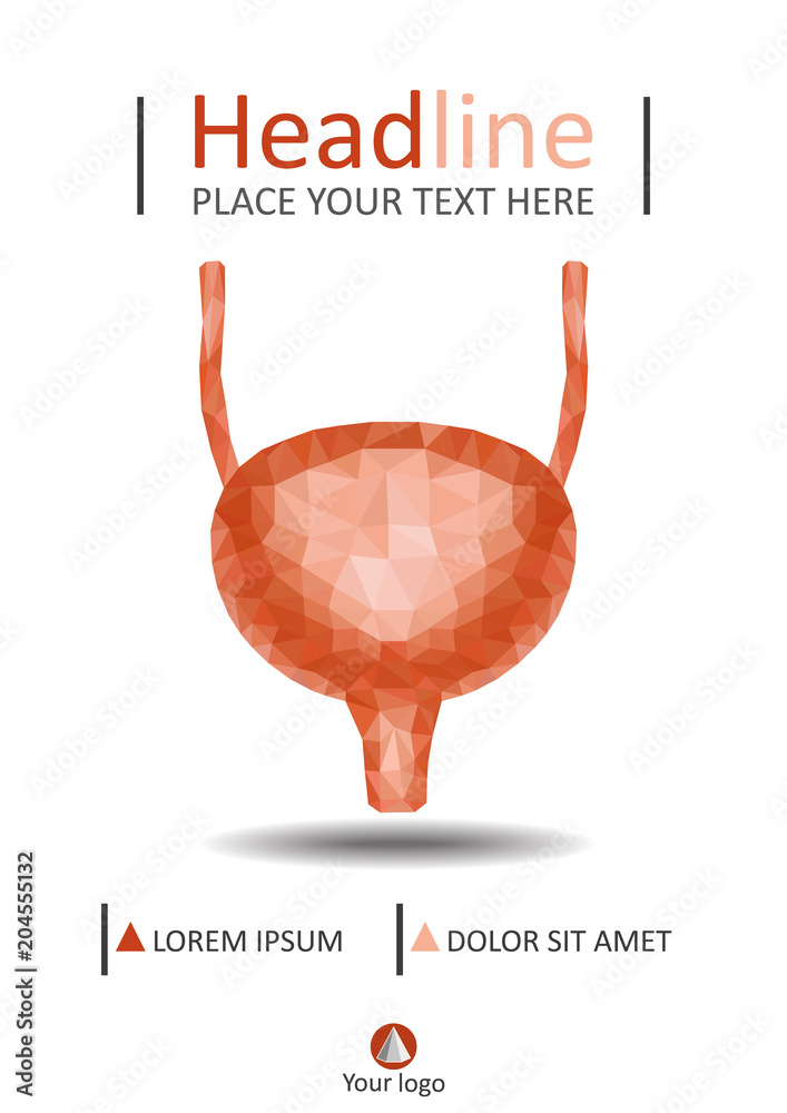 Detail Gambar Organ Ureter Nomer 37