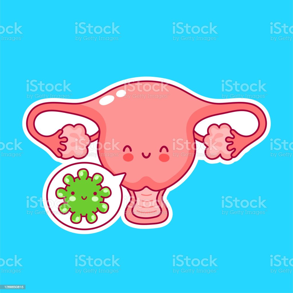 Detail Gambar Organ Uterus Nomer 13