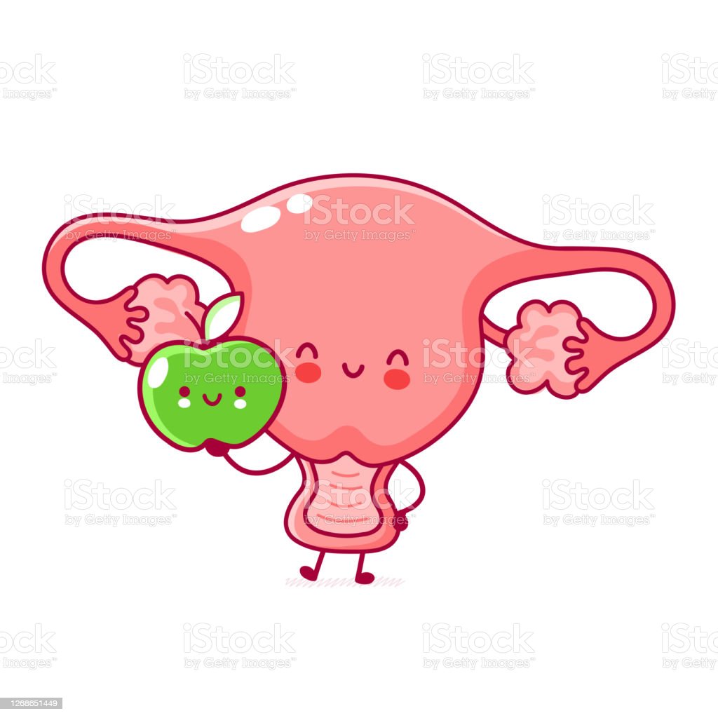 Detail Gambar Organ Uterus Nomer 15